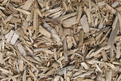 biomass boilers Grassthorpe